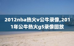 2012nba热火v公牛录像,2011年公牛热火g5录像回放