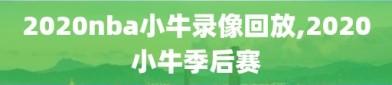 2020nba小牛录像回放,2020小牛季后赛