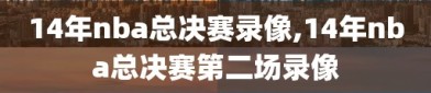 14年nba总决赛录像,14年nba总决赛第二场录像