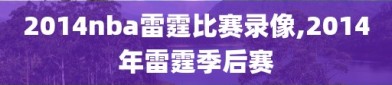 2014nba雷霆比赛录像,2014年雷霆季后赛