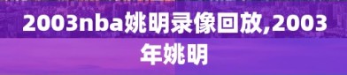 2003nba姚明录像回放,2003年姚明