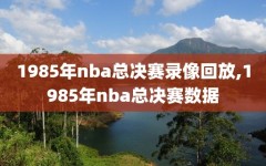 1985年nba总决赛录像回放,1985年nba总决赛数据