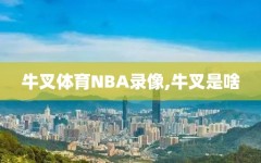 牛叉体育NBA录像,牛叉是啥