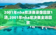 2001年nba总决赛录像回放1场,2001年nba总决赛全场回放