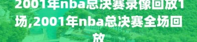 2001年nba总决赛录像回放1场,2001年nba总决赛全场回放