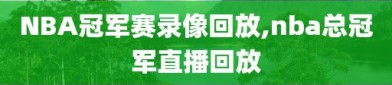 NBA冠军赛录像回放,nba总冠军直播回放