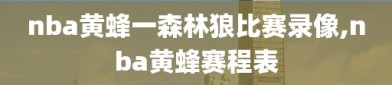 nba黄蜂一森林狼比赛录像,nba黄蜂赛程表