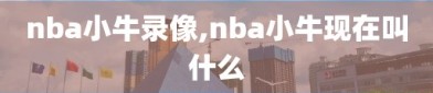 nba小牛录像,nba小牛现在叫什么