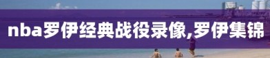nba罗伊经典战役录像,罗伊集锦