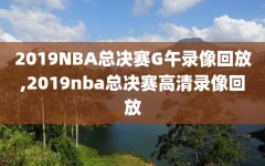 2019NBA总决赛G午录像回放,2019nba总决赛高清录像回放