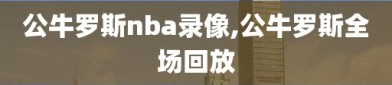 公牛罗斯nba录像,公牛罗斯全场回放