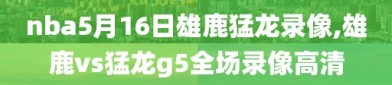 nba5月16日雄鹿猛龙录像,雄鹿vs猛龙g5全场录像高清