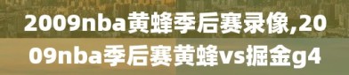 2009nba黄蜂季后赛录像,2009nba季后赛黄蜂vs掘金g4