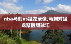 nba马刺vs猛龙录像,马刺对猛龙聚胜顽球汇