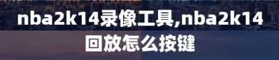 nba2k14录像工具,nba2k14回放怎么按键
