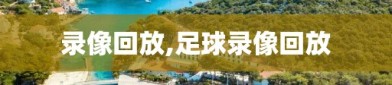 录像回放,足球录像回放