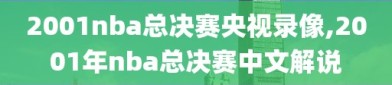 2001nba总决赛央视录像,2001年nba总决赛中文解说