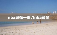 nba录像一拳,1nba录像