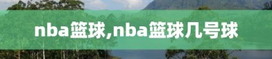 nba篮球,nba篮球几号球