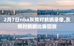 2月7日nba灰熊对鹈鹕录像,灰熊对鹈鹕比赛回放