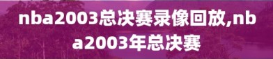 nba2003总决赛录像回放,nba2003年总决赛