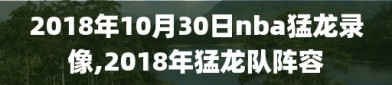 2018年10月30日nba猛龙录像,2018年猛龙队阵容