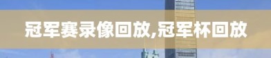 冠军赛录像回放,冠军杯回放