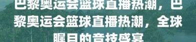 巴黎奥运会篮球直播热潮，巴黎奥运会篮球直播热潮，全球瞩目的竞技盛宴