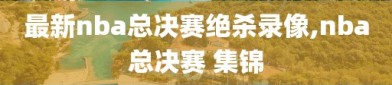 最新nba总决赛绝杀录像,nba总决赛 集锦