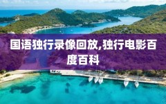 国语独行录像回放,独行电影百度百科