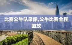 比赛公牛队录像,公牛比赛全程回放