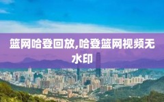 篮网哈登回放,哈登篮网视频无水印