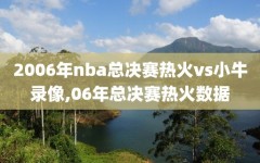 2006年nba总决赛热火vs小牛录像,06年总决赛热火数据