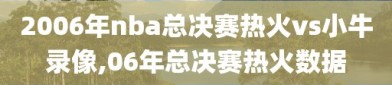 2006年nba总决赛热火vs小牛录像,06年总决赛热火数据