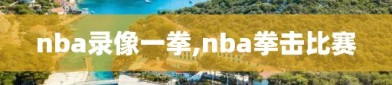 nba录像一拳,nba拳击比赛