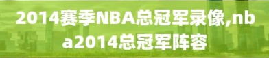 2014赛季NBA总冠军录像,nba2014总冠军阵容