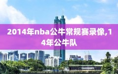 2014年nba公牛常规赛录像,14年公牛队