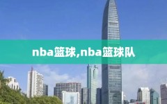 nba篮球,nba篮球队