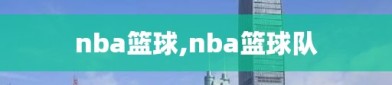 nba篮球,nba篮球队