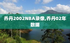 乔丹2002NBA录像,乔丹02年数据