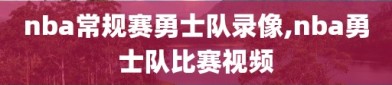 nba常规赛勇士队录像,nba勇士队比赛视频