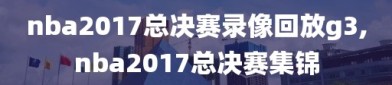 nba2017总决赛录像回放g3,nba2017总决赛集锦