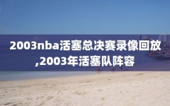 2003nba活塞总决赛录像回放,2003年活塞队阵容