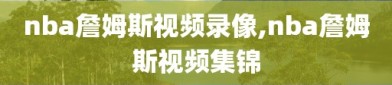 nba詹姆斯视频录像,nba詹姆斯视频集锦