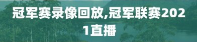 冠军赛录像回放,冠军联赛2021直播