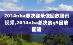 2014nba总决赛录像回放腾讯视频,2014nba总决赛g5回放国语