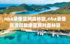 nba录像篮网森林狼,nba录像高清回放像篮网对森林狼