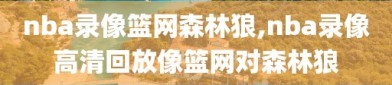 nba录像篮网森林狼,nba录像高清回放像篮网对森林狼