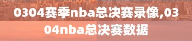 0304赛季nba总决赛录像,0304nba总决赛数据