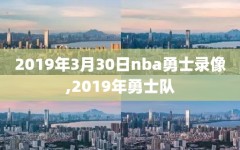 2019年3月30日nba勇士录像,2019年勇士队